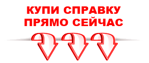 справка в Омске